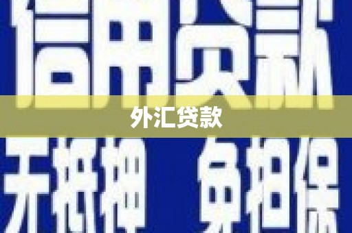 双溪外汇贷款