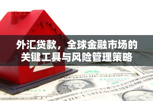 双溪外汇贷款，全球金融市场的关键工具与风险管理策略