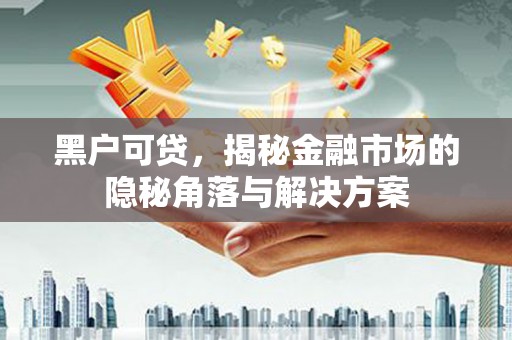 双溪黑户可贷，揭秘金融市场的隐秘角落与解决方案