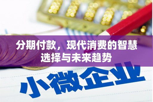 双溪分期付款，现代消费的智慧选择与未来趋势