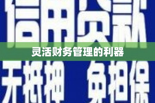 双溪灵活财务管理的利器