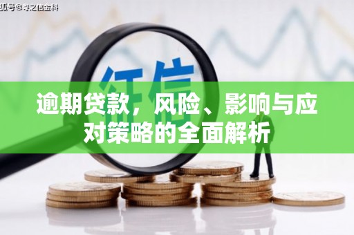 双溪逾期贷款，风险、影响与应对策略的全面解析