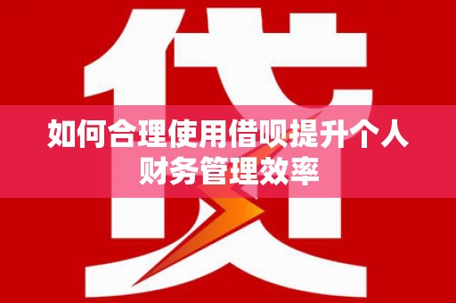 双溪如何合理使用借呗提升个人财务管理效率