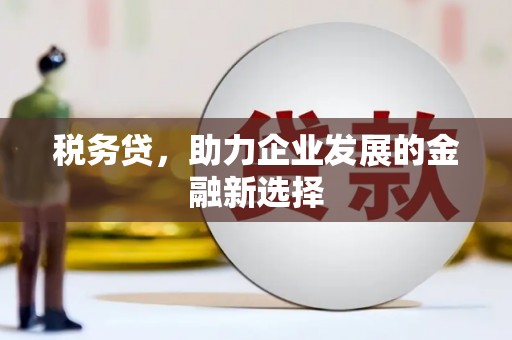 双溪税务贷，助力企业发展的金融新选择