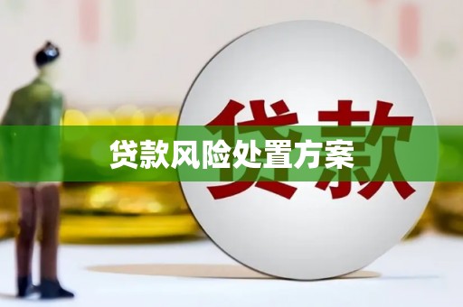 双溪贷款风险处置方案