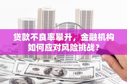 双溪贷款不良率攀升，金融机构如何应对风险挑战？