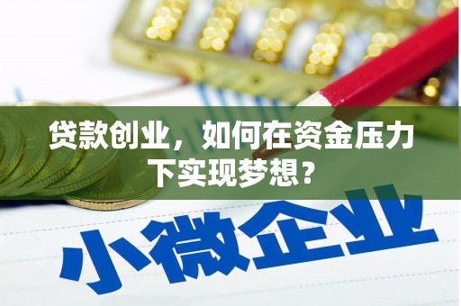 双溪贷款创业，如何在资金压力下实现梦想？