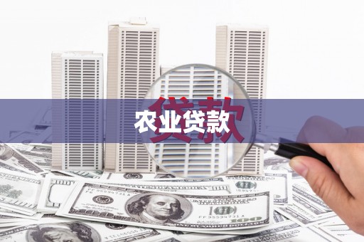 双溪农业贷款