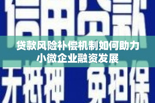 双溪贷款风险补偿机制如何助力小微企业融资发展