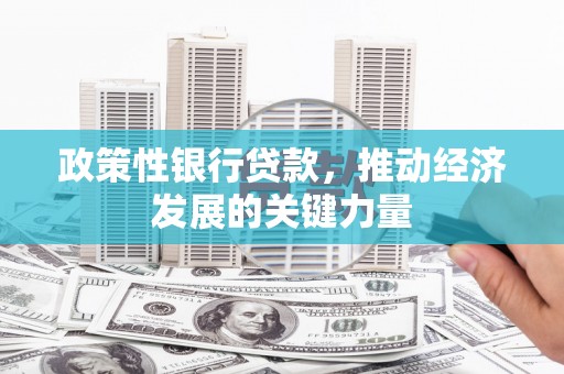 双溪政策性银行贷款，推动经济发展的关键力量