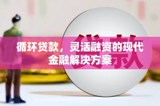 双溪循环贷款，灵活融资的现代金融解决方案
