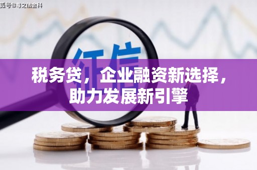 双溪税务贷，企业融资新选择，助力发展新引擎