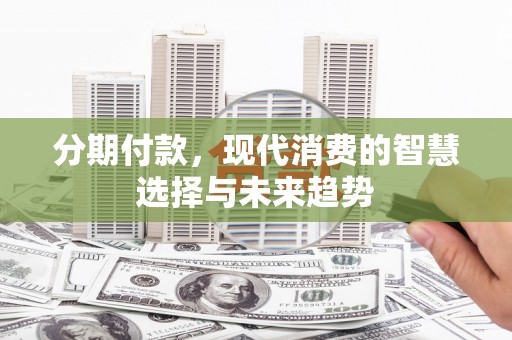 双溪分期付款，现代消费的智慧选择与未来趋势