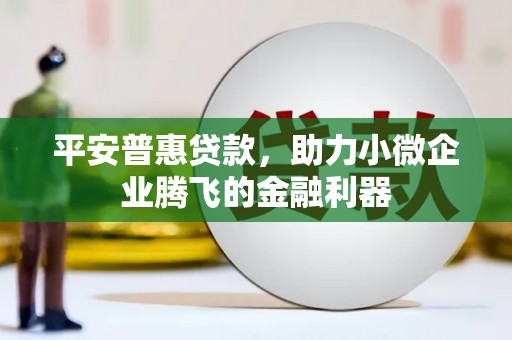 双溪平安普惠贷款，助力小微企业腾飞的金融利器