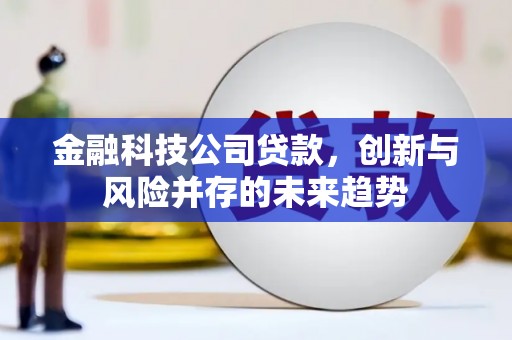 双溪金融科技公司贷款，创新与风险并存的未来趋势