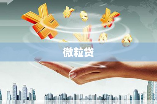 双溪微粒贷