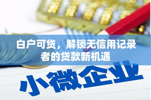 双溪白户可贷，解锁无信用记录者的贷款新机遇
