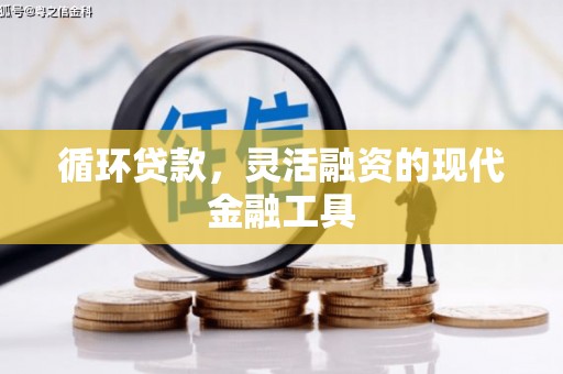 双溪循环贷款，灵活融资的现代金融工具