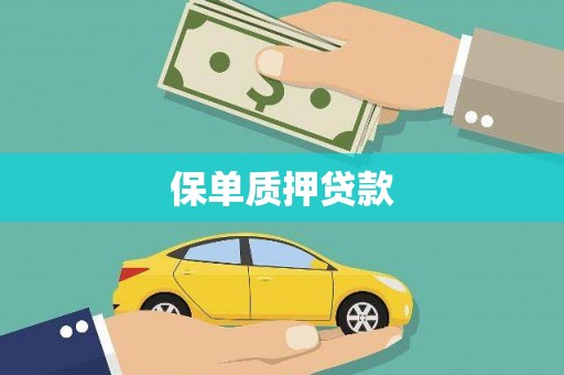 双溪保单质押贷款
