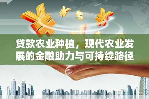 双溪贷款农业种植，现代农业发展的金融助力与可持续路径