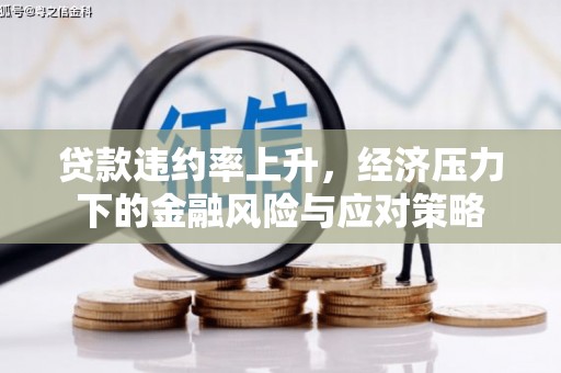 双溪贷款违约率上升，经济压力下的金融风险与应对策略
