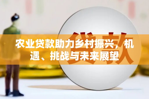 双溪农业贷款助力乡村振兴，机遇、挑战与未来展望