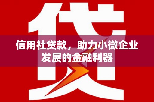 双溪信用社贷款，助力小微企业发展的金融利器