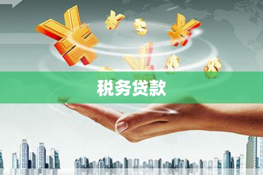 双溪税务贷款