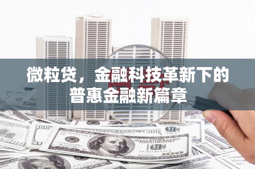 双溪微粒贷，金融科技革新下的普惠金融新篇章