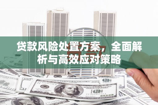 双溪贷款风险处置方案，全面解析与高效应对策略