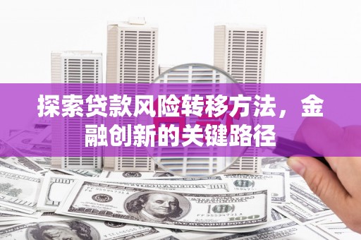 双溪探索贷款风险转移方法，金融创新的关键路径