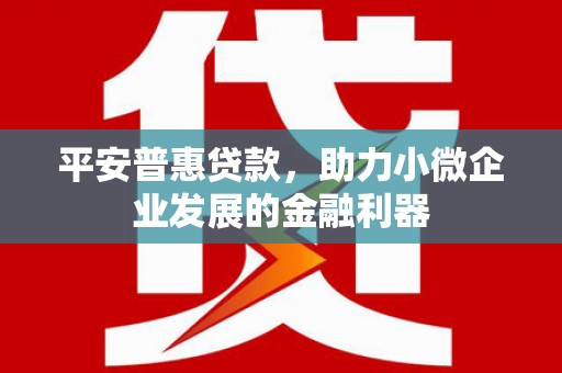 双溪平安普惠贷款，助力小微企业发展的金融利器