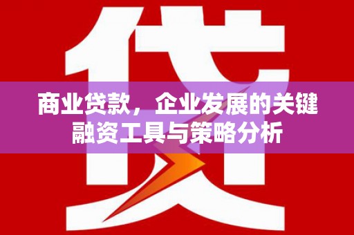 双溪商业贷款，企业发展的关键融资工具与策略分析