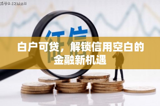 双溪白户可贷，解锁信用空白的金融新机遇