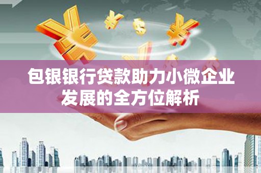 双溪包银银行贷款助力小微企业发展的全方位解析