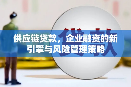 双溪供应链贷款，企业融资的新引擎与风险管理策略