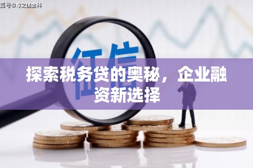 双溪探索税务贷的奥秘，企业融资新选择