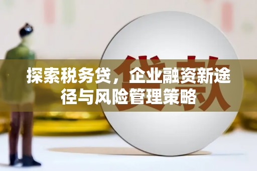 双溪探索税务贷，企业融资新途径与风险管理策略