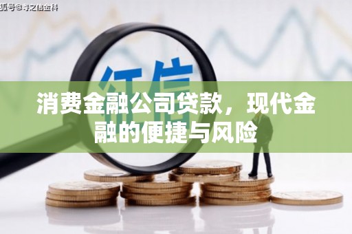 双溪消费金融公司贷款，现代金融的便捷与风险