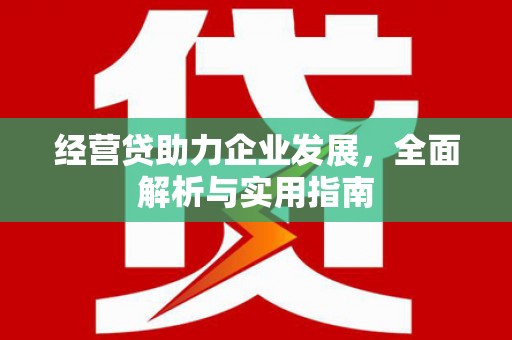 双溪经营贷助力企业发展，全面解析与实用指南