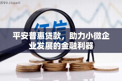 双溪平安普惠贷款，助力小微企业发展的金融利器