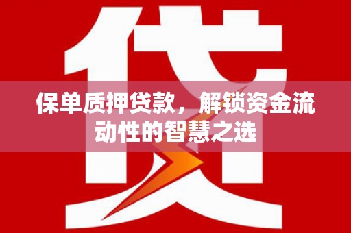 双溪保单质押贷款，解锁资金流动性的智慧之选