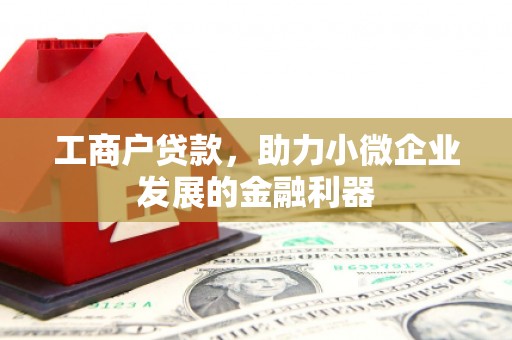 双溪工商户贷款，助力小微企业发展的金融利器