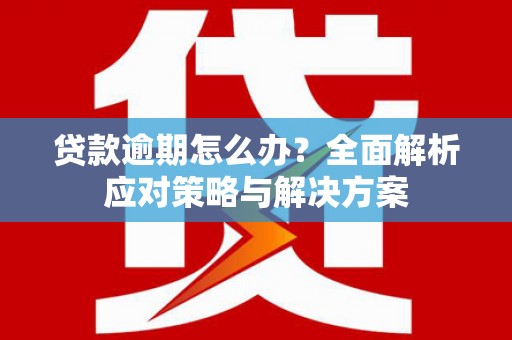 双溪贷款逾期怎么办？全面解析应对策略与解决方案
