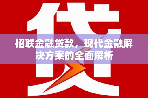双溪招联金融贷款，现代金融解决方案的全面解析