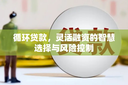 双溪循环贷款，灵活融资的智慧选择与风险控制