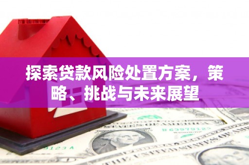 双溪探索贷款风险处置方案，策略、挑战与未来展望