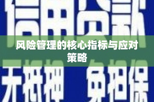 双溪风险管理的核心指标与应对策略