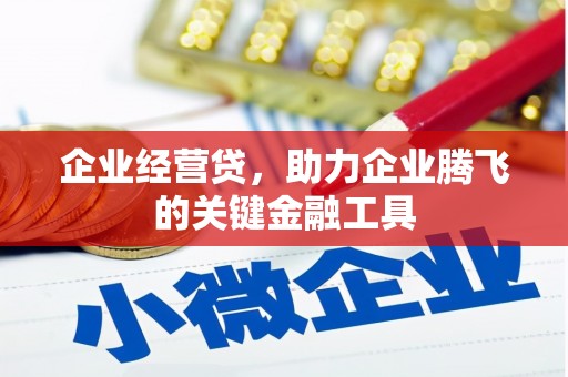 双溪企业经营贷，助力企业腾飞的关键金融工具
