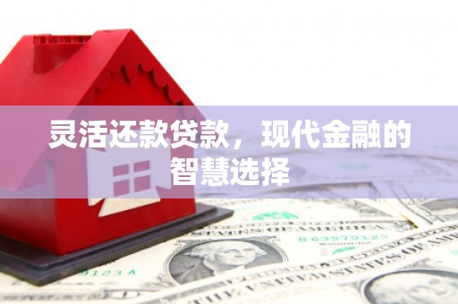 双溪灵活还款贷款，现代金融的智慧选择